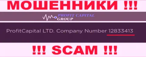 Номер регистрации Profit Capital Group, который показан кидалами у них на сайте: 12833413