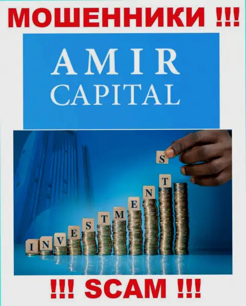 Не переводите денежные средства в AmirCapital, род деятельности которых - Инвестиции