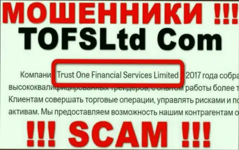 Свое юридическое лицо организация Trust One Financial Services не скрывает - это Траст Ван Финансиал Сервисес Лтд