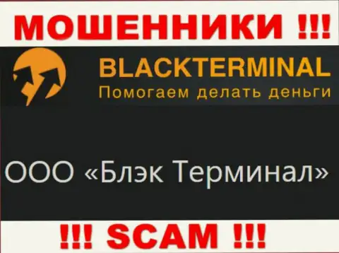 На официальном веб-портале BlackTerminal указано, что юридическое лицо организации - ООО Блэк Терминал