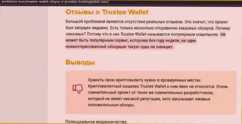 Trustee Wallet - это ОБМАНЩИКИ !!! Воровство вложенных денег гарантируют стопроцентно (обзор мошенничества конторы)