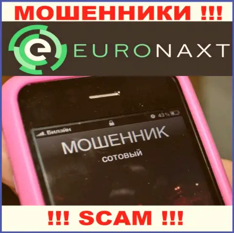 Вас могут раскрутить на деньги, EuroNaxt Com подыскивают новых жертв