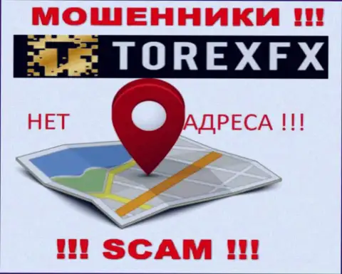 Torex FX не засветили свое местонахождение, на их интернет-сервисе нет инфы об юридическом адресе регистрации